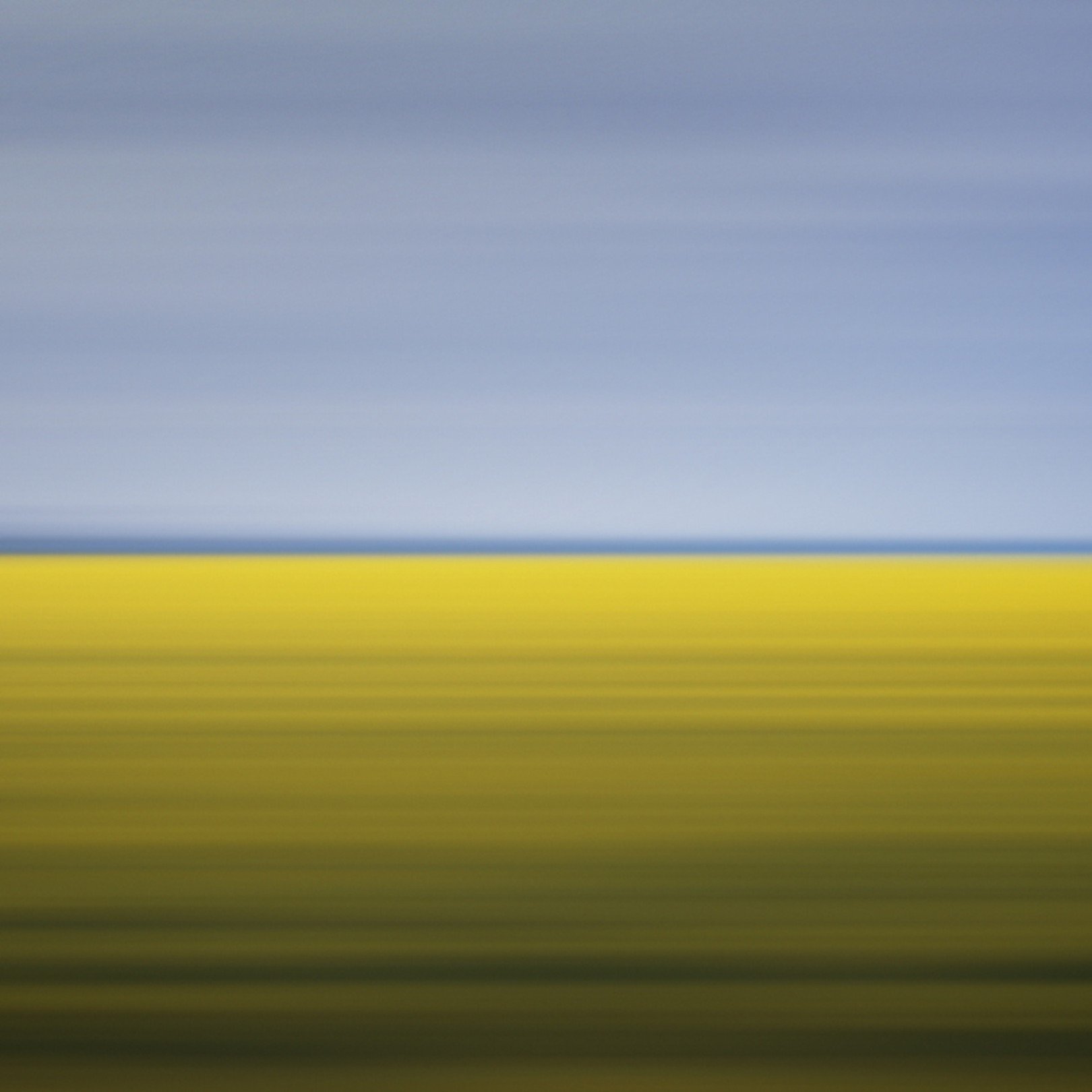 David Burdeny