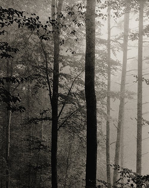 Artwork 1