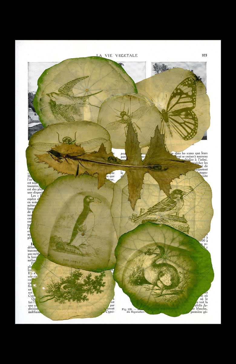 Artwork 3